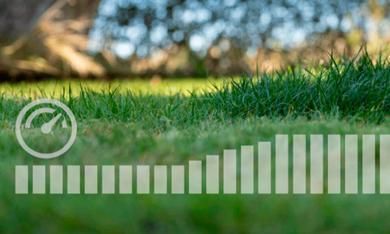 Power-Boost Løvblæsere